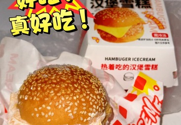 汉堡雪糕支持定制吗，可以做区域限定款吗？