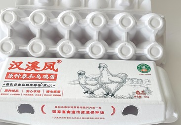 降解纸浆盒数码打印机品牌性价比如何