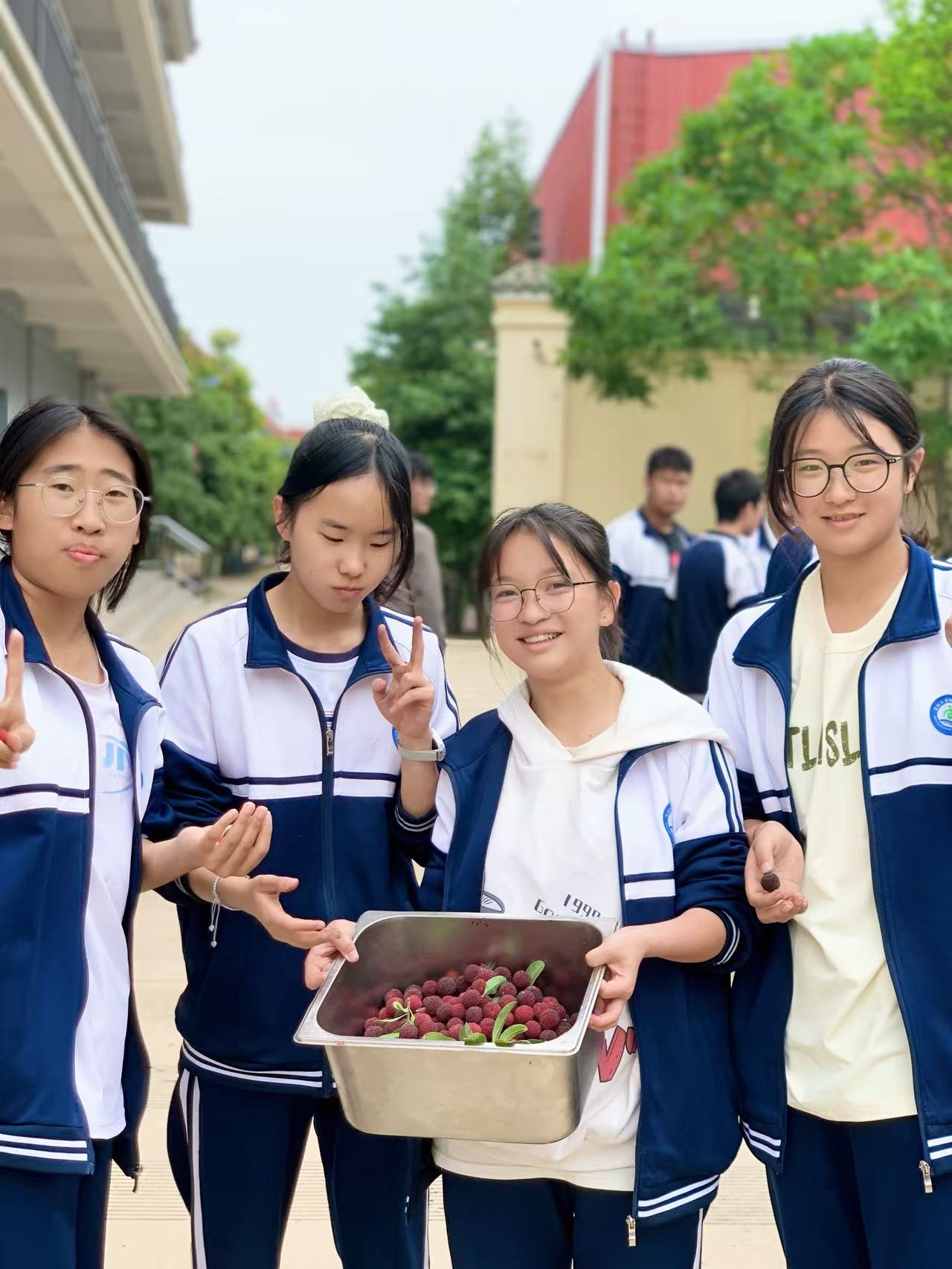 卓衡中学靠谱吗