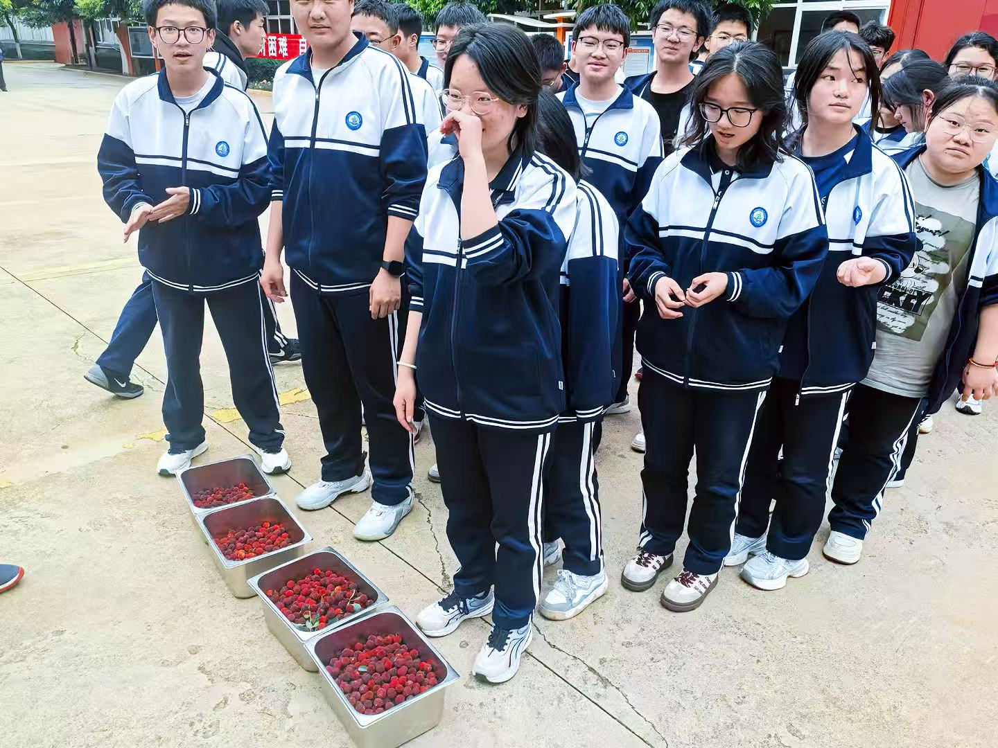 卓衡中学靠谱吗