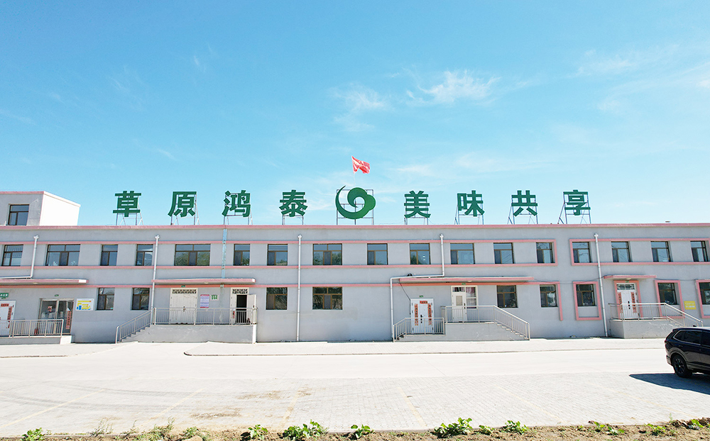 2026年实力之选：羊肉批发实力厂商用户力荐