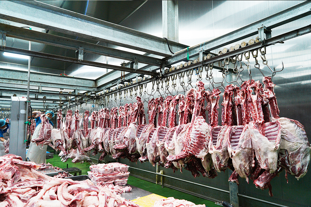 2026年口碑好的羊肉块厂家、冷冻羊肉厂家实力参考与用户口碑