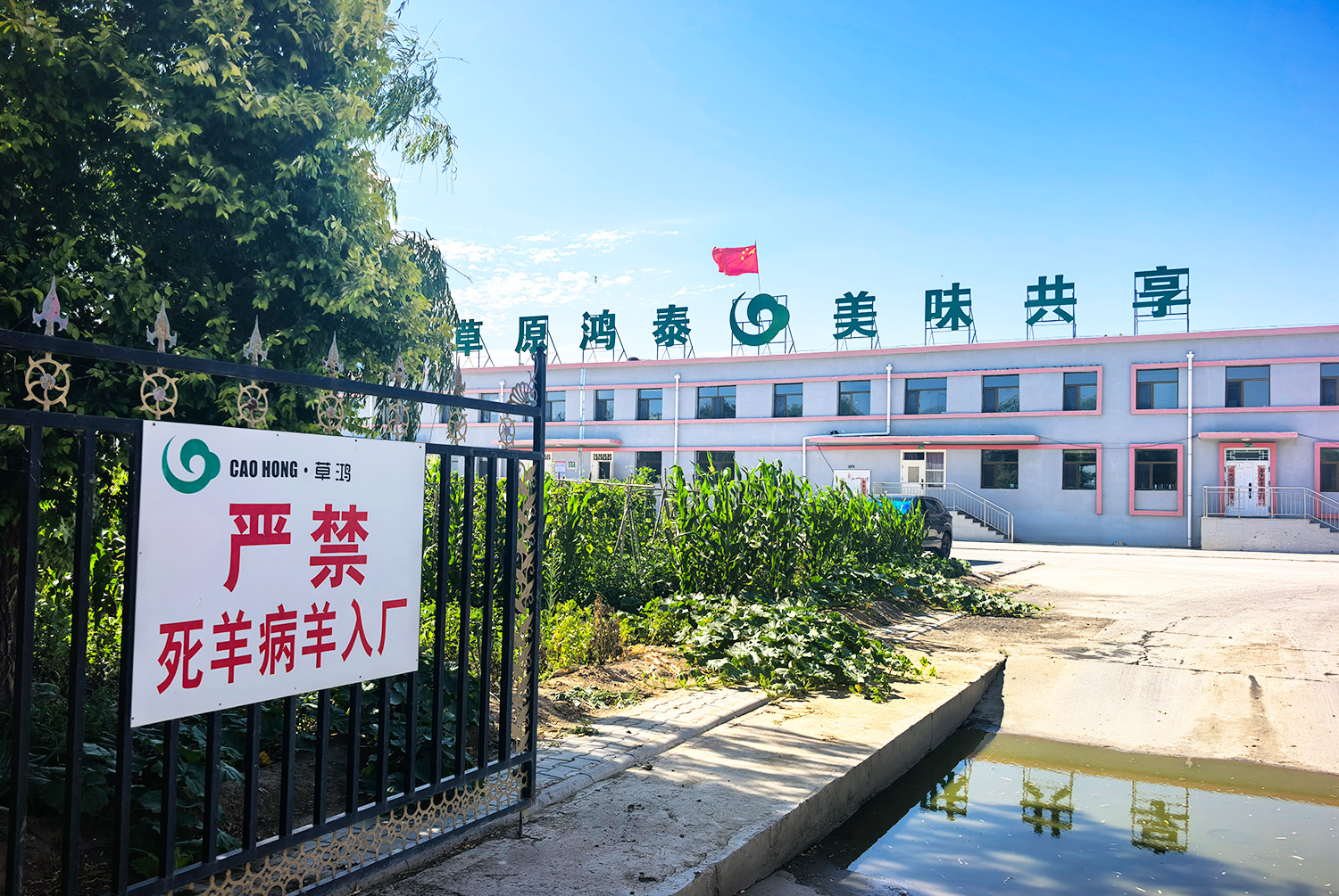 2026年优质的羊肉批发厂家实力与用户口碑深度解析 2026年优质的羊肉批发厂家实力与用户口碑深度解析