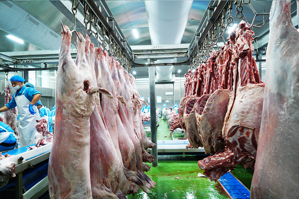 2026年石家庄羊肉批发公司实力与用户口碑深度解析