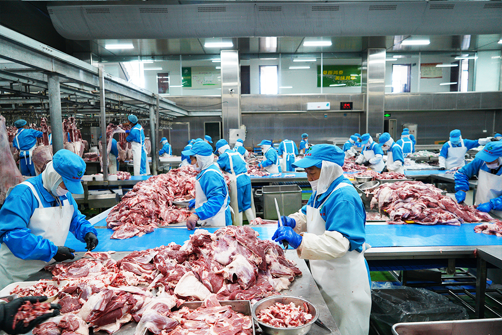 2026年口碑好的专业羊肉供应商家厂家实力参考 2026年口碑好的专业羊肉供应商家厂家实力参考
