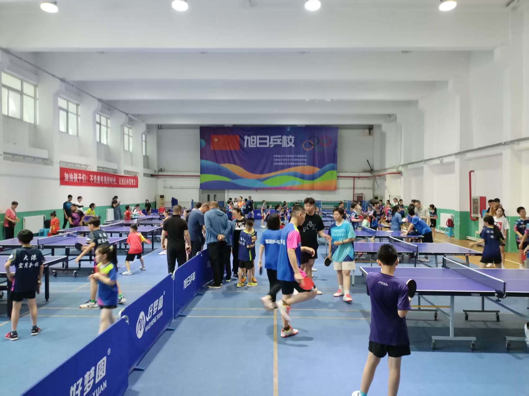 2026年评价高的儿童乒乓球启蒙培训学院 品牌成立年限与行业口碑汇总 2026年评价高的儿童乒乓球启蒙培训学院 品牌成立年限与行业口碑汇总