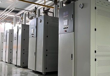 2026年正规的蒸汽发生器供应商实力参考，用户力荐