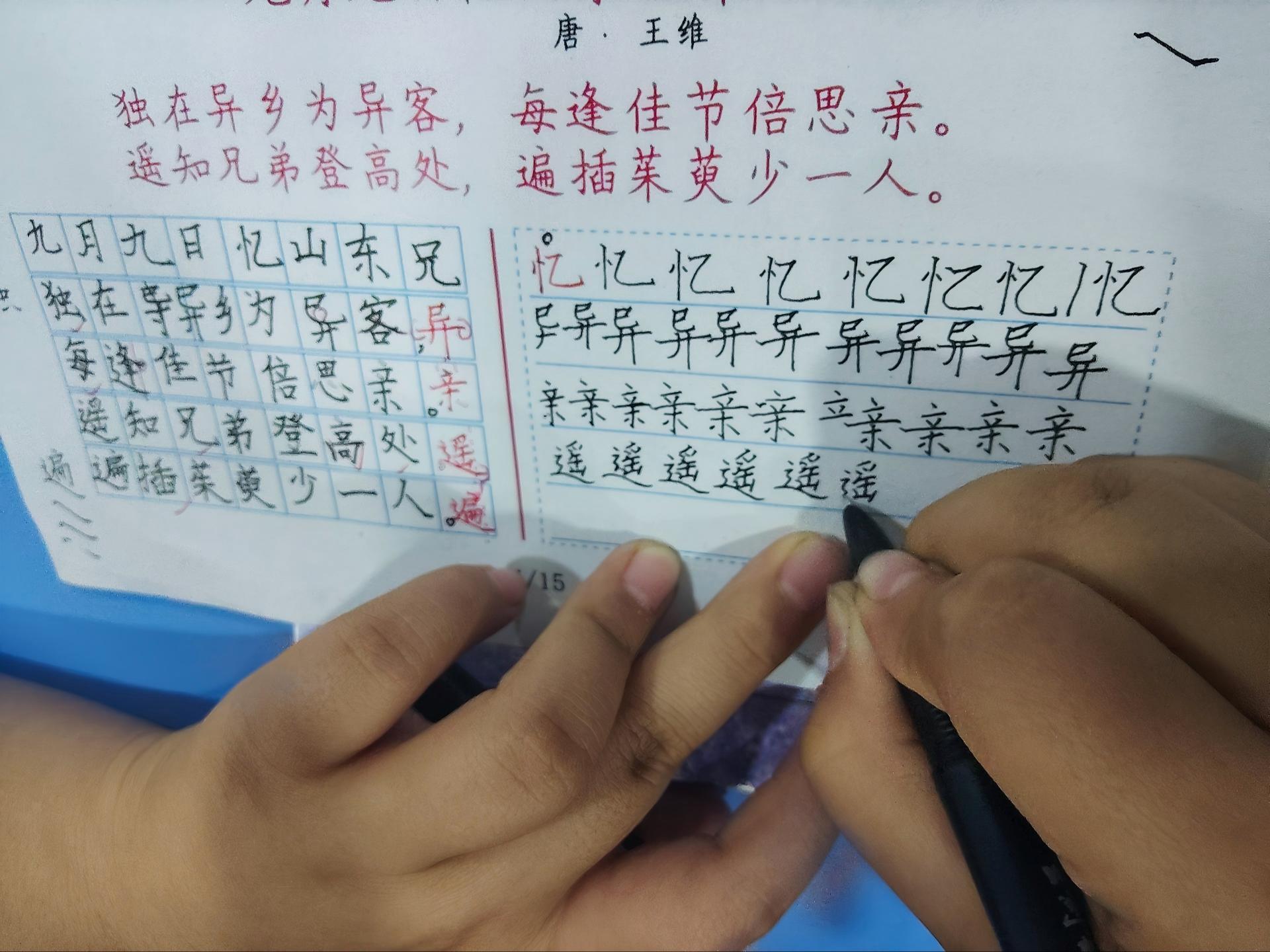 2026年绿园区书法机构哪家权威,口碑好的专业机构推荐 2026年绿园区书法机构哪家权威,口碑好的专业机构推荐