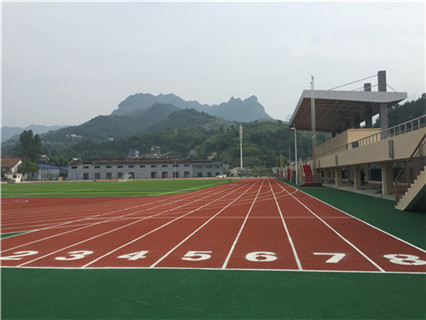 怀化市2026年学校运动场维修服务商实力参考，企业全景分析