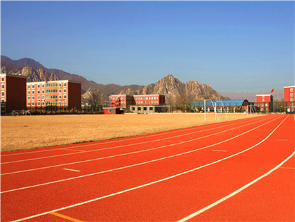 2026年有实力的塑胶跑道专业厂家合作实力参考