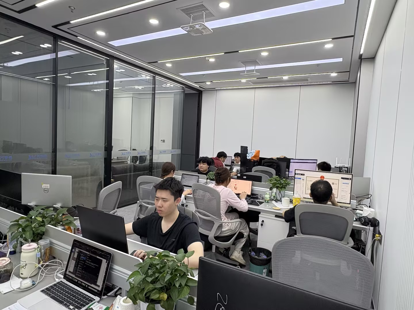 万字书服务怎么样值得信赖吗