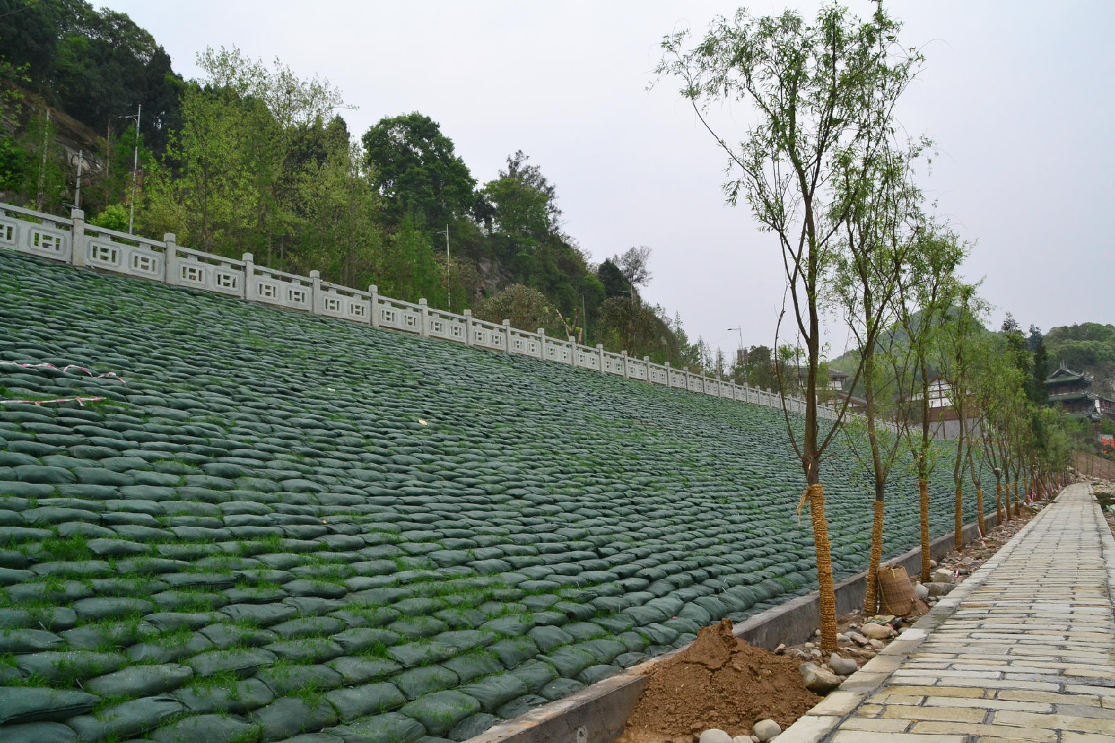 2026年热门的抗老化生态袋制造厂家选购参考汇总