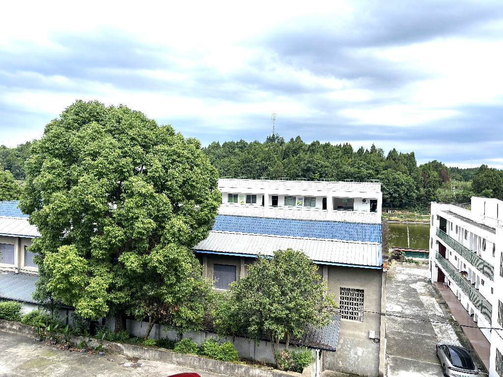 蜀坛酿酱腌菜保质期多久 蜀坛酿酱腌菜保质期多久