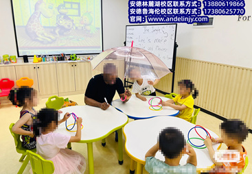 安德林教育培训机构专业吗