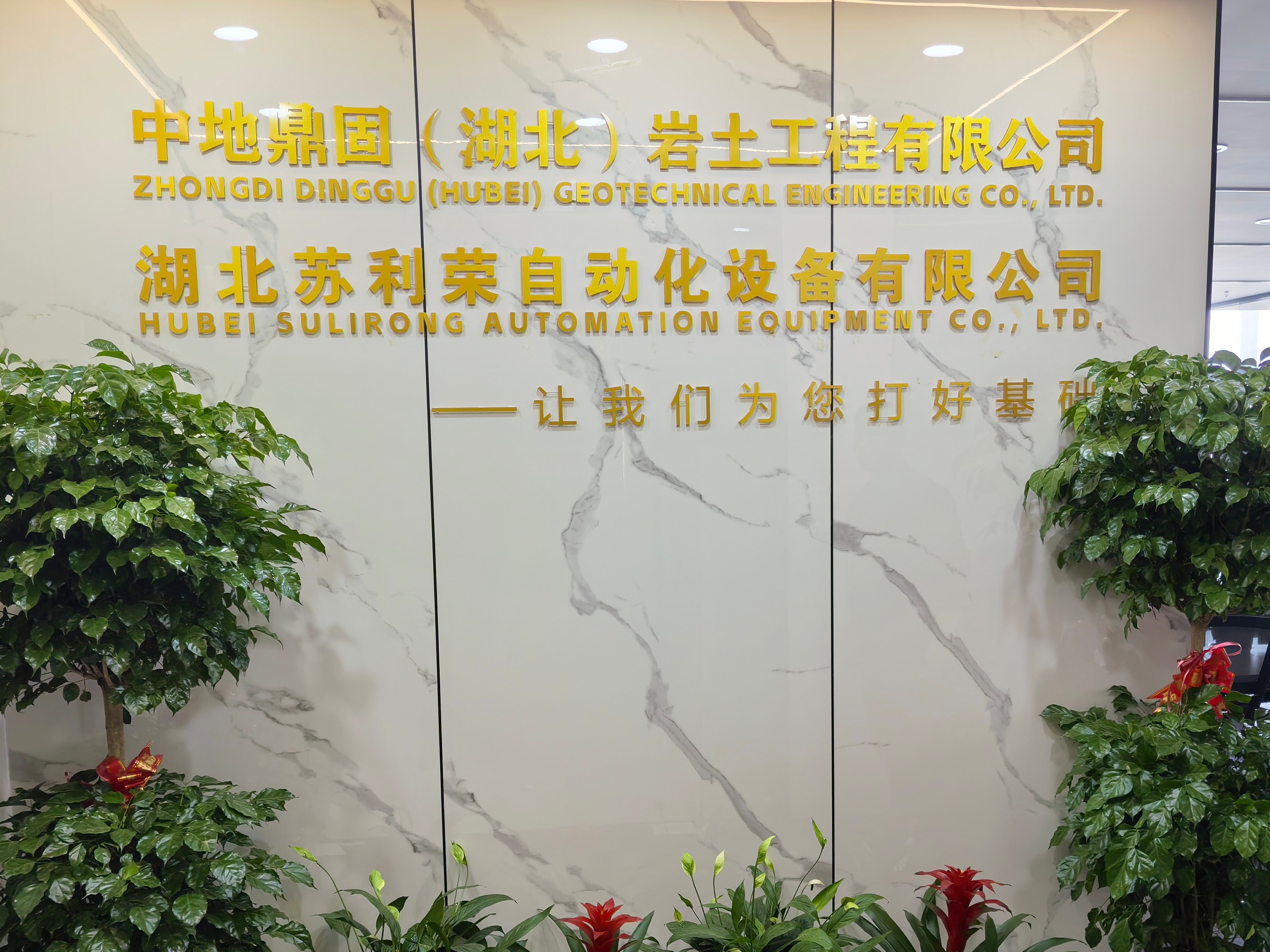 2026年载体桩施工标准要求解读，正规服务商合作实力参考