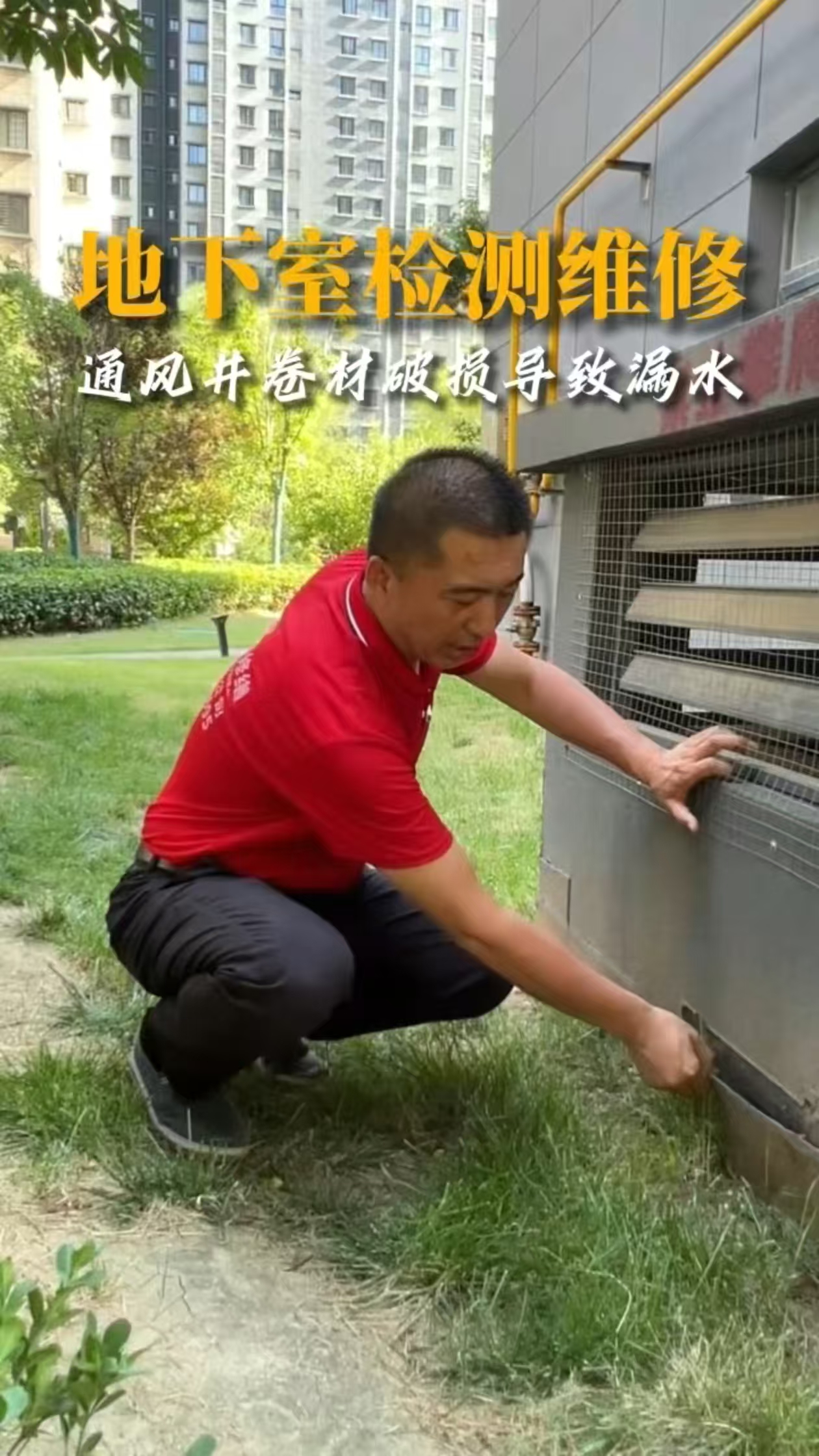 柏盾力修缮口碑怎么样