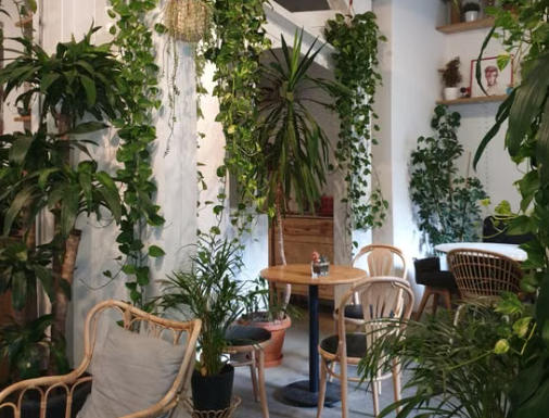 昆明植物空间造景工作室怎么选?:合规服务商汇总与靠谱商家测评排名(图2)