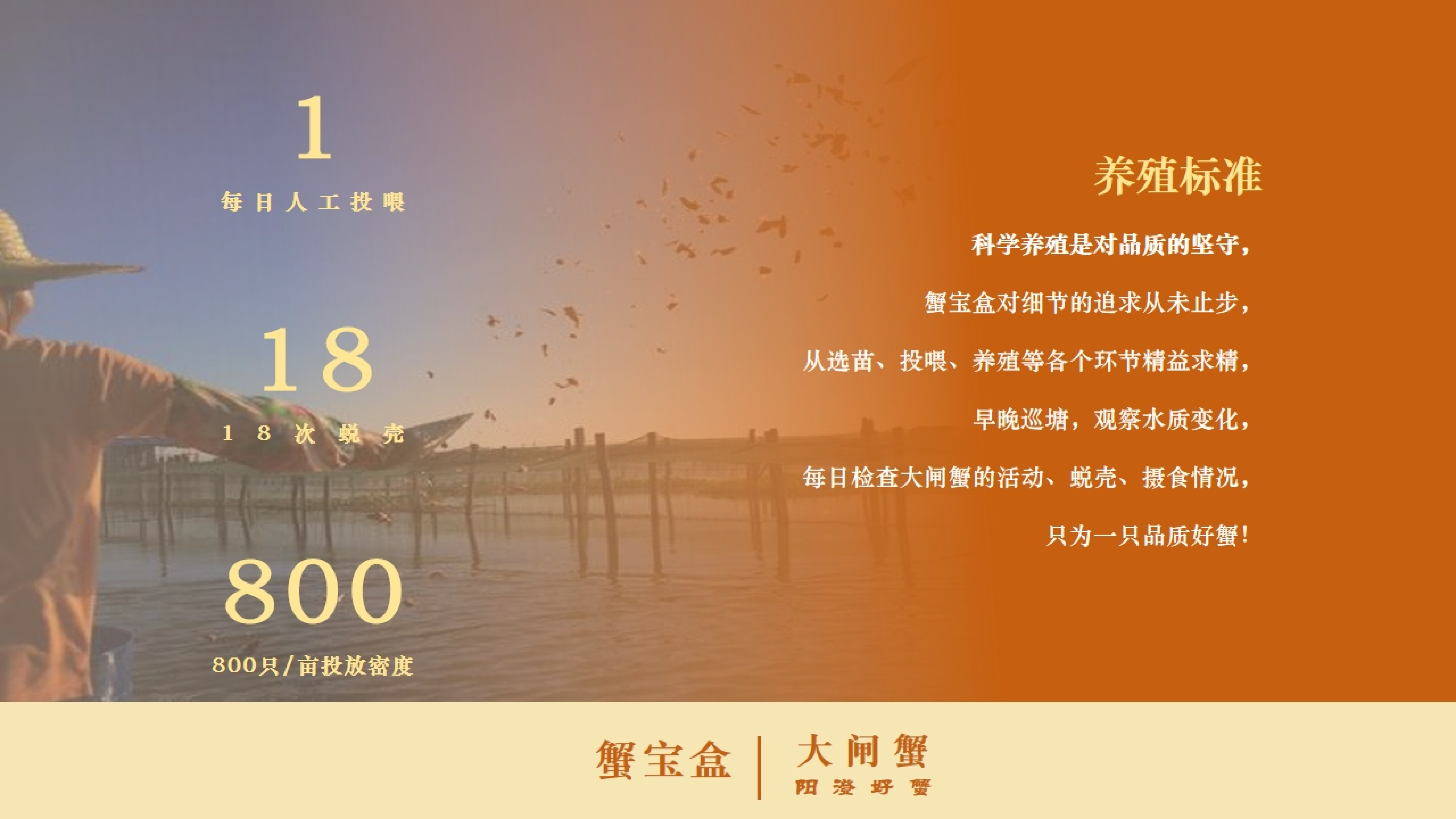 2026年私域渠道大闸蟹制造厂靠谱商家怎么选 2026年私域渠道大闸蟹制造厂靠谱商家怎么选