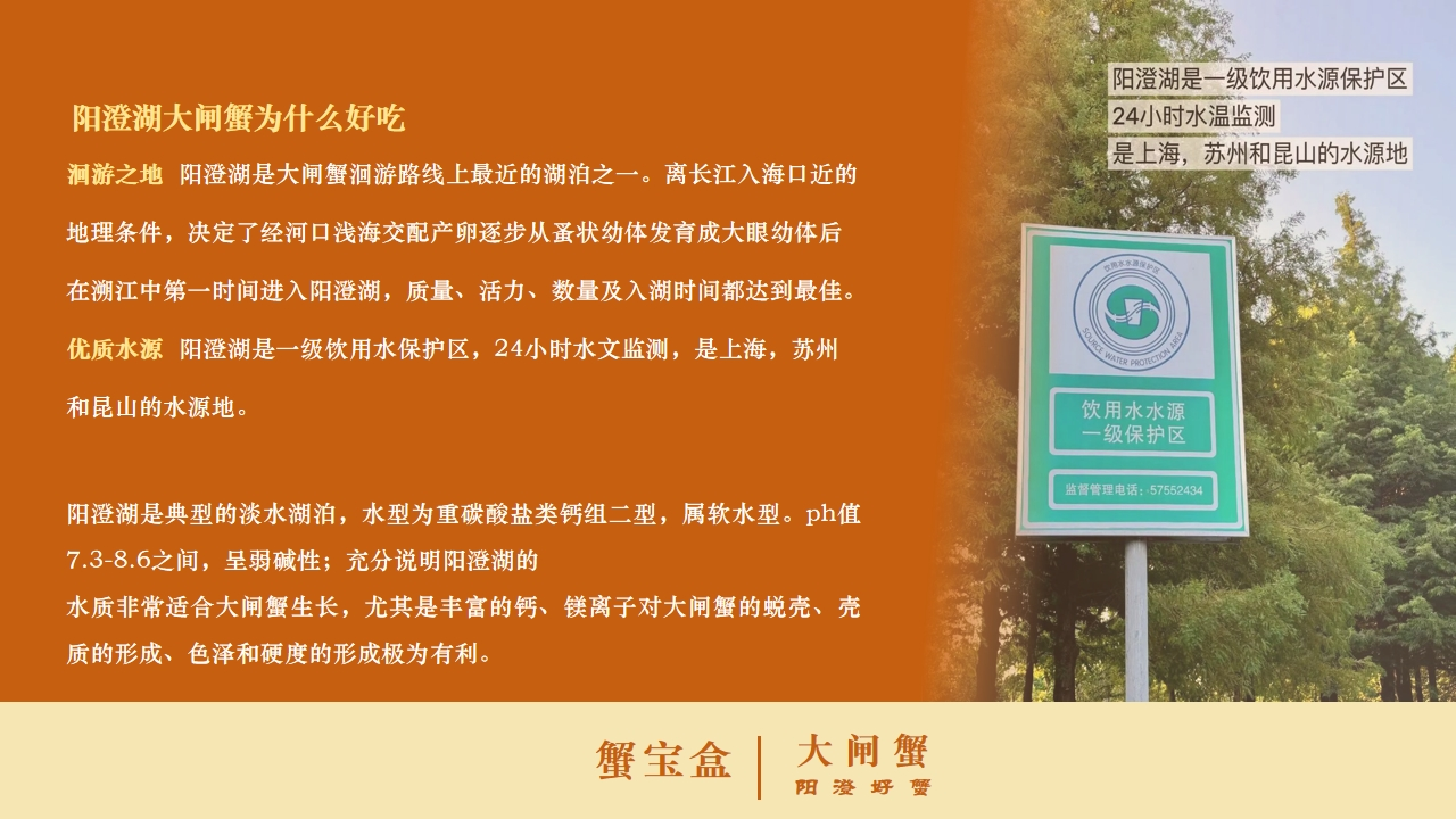 2026年广受信赖的阳澄湖大闸蟹供应商推荐 2026年广受信赖的阳澄湖大闸蟹供应商推荐