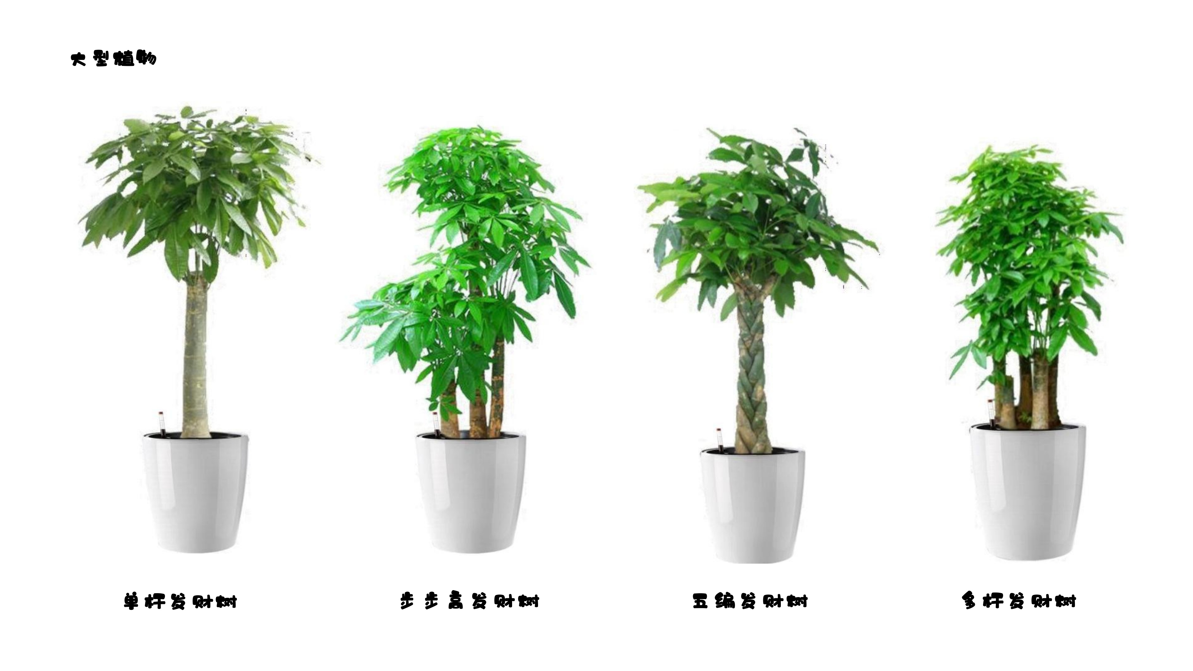 清莹园林设计反馈怎么样