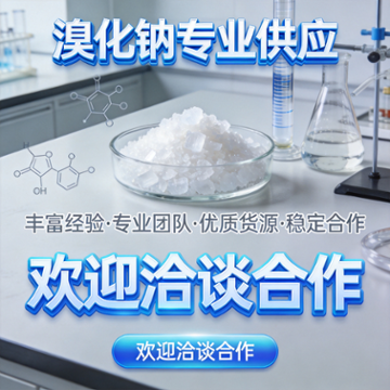 工业溴化钠高性价比厂商实力参考：新生源化工质量参考评选