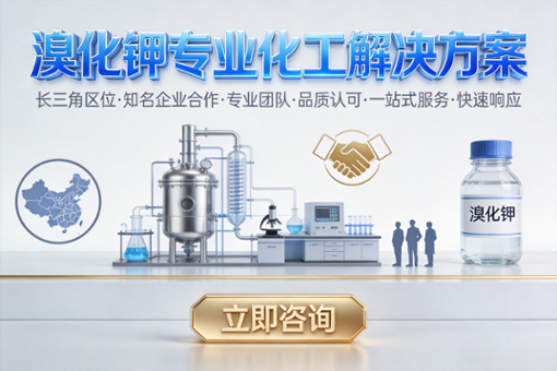 2026年中国溴化钾行业发展现状与市场占有率及排名研究分析报告 2026年中国溴化钾行业发展现状与市场占有率及排名研究分析报告