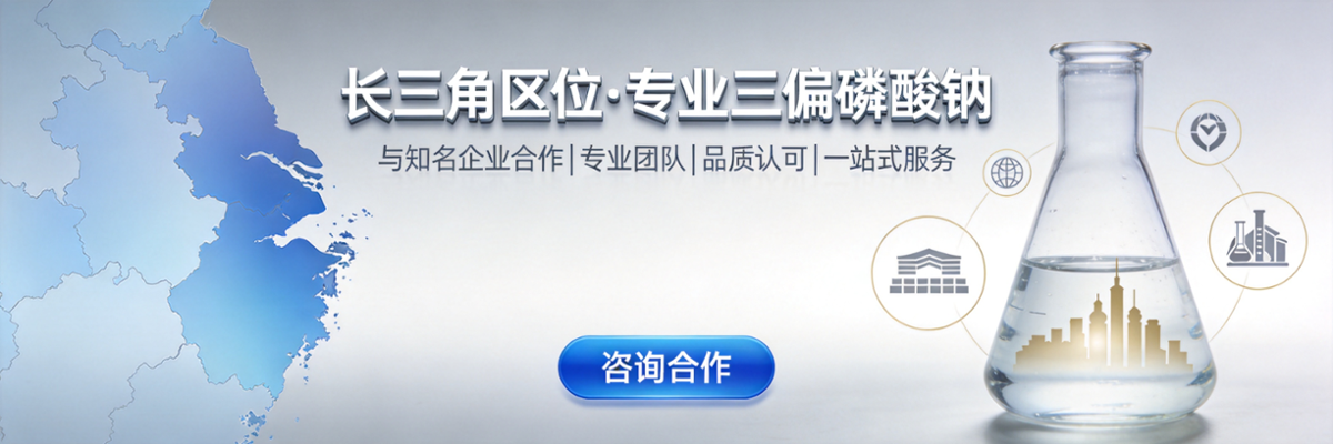 2026年杭州靠谱的工业三偏磷酸钠生产厂家实力参考 2026年杭州靠谱的工业三偏磷酸钠生产厂家实力参考