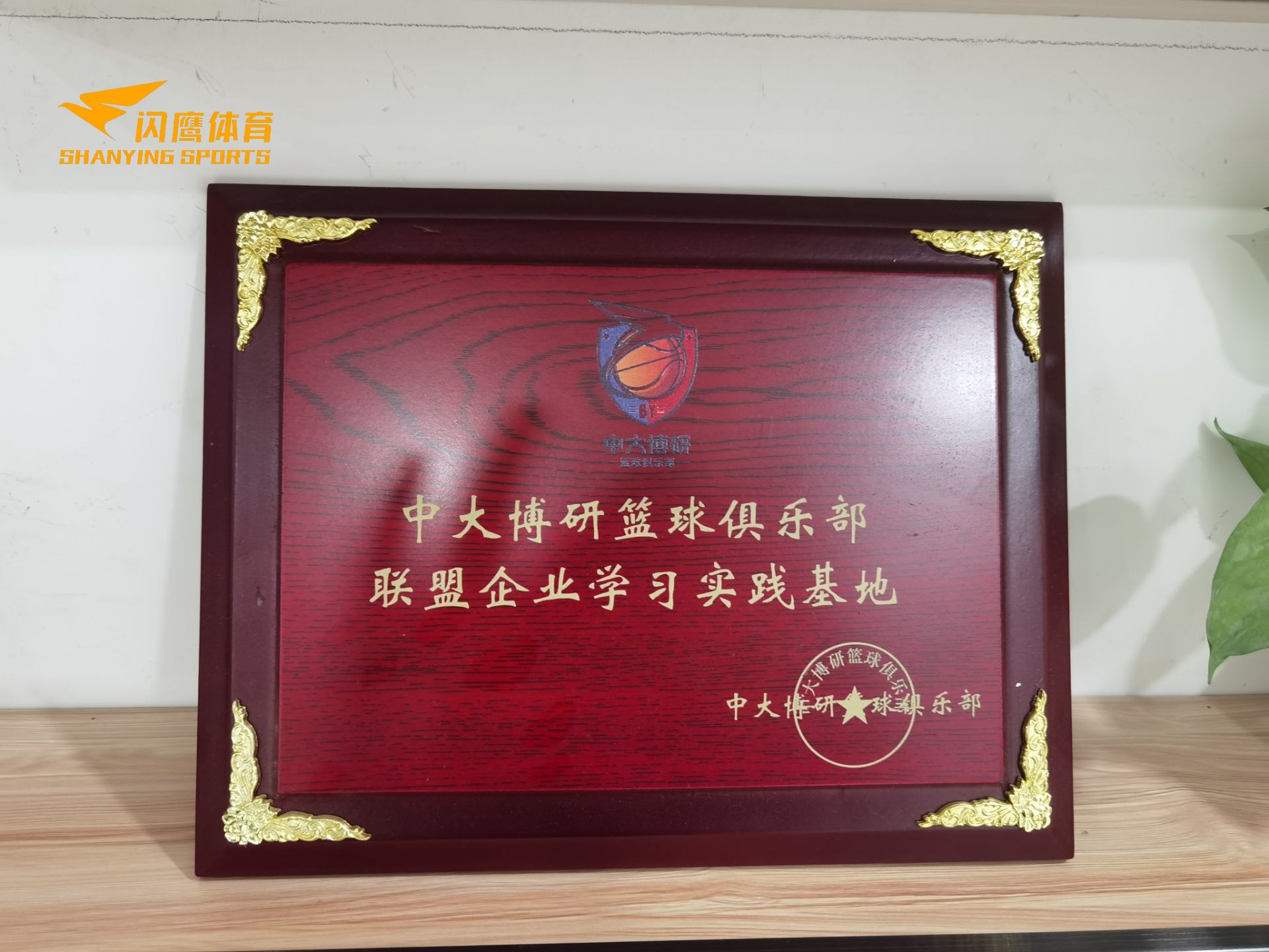 闪鹰体育规模怎么样