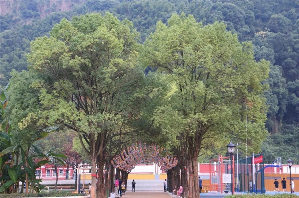 2026年靠谱的国际学校有哪些？实力与用户口碑深度解析