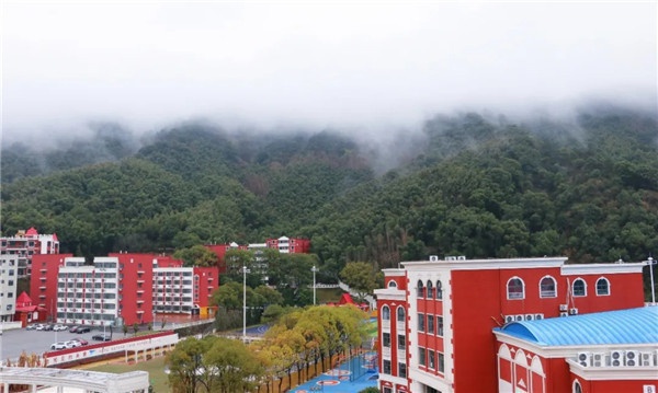 2026年国际学校靠谱商家测评排名实力参考
