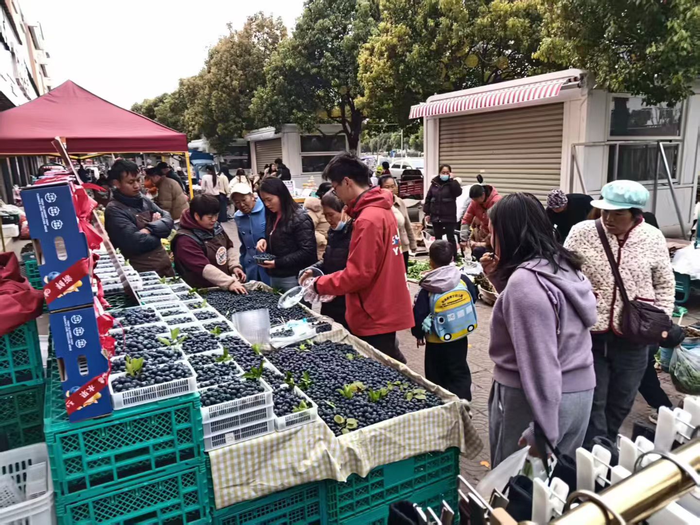 加盟政策好的水果品牌推荐制造商靠谱商家测评排名 加盟政策好的水果品牌推荐制造商靠谱商家测评排名