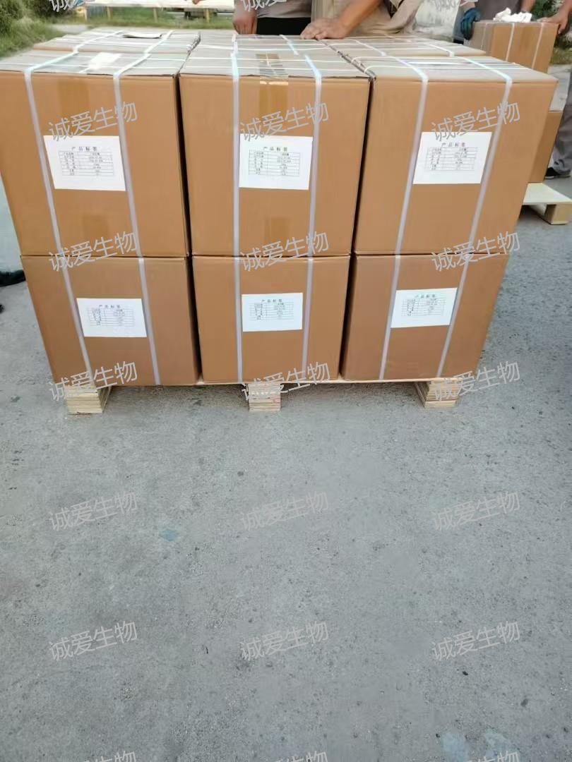 2026实力之选：运动用无水肌酸源头工厂用户力荐