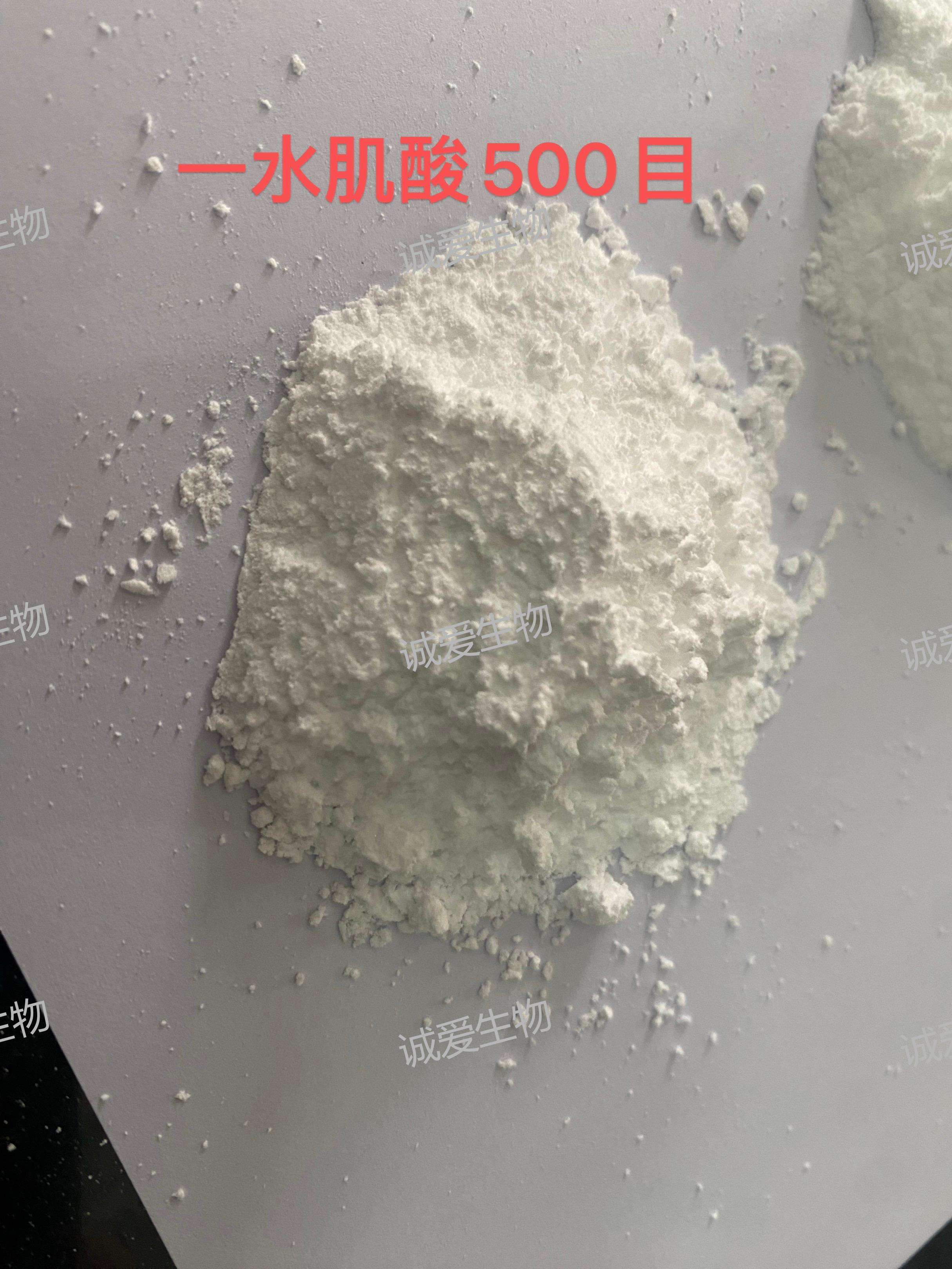 2026实力之选：运动用无水肌酸源头工厂用户力荐