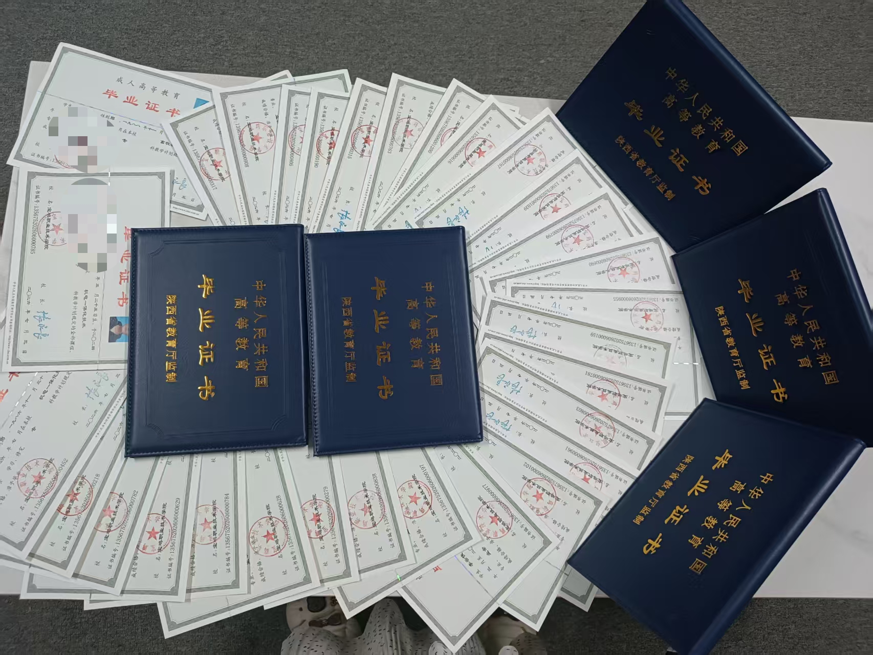 2026年评价高的在职读本科报名咨询机构用户力荐