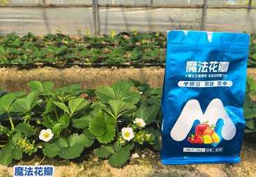 2026河南叶面肥代理合作项目，靠谱的厂家实力与用户口碑深度解析