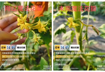 叶面肥招商代理生产厂家哪家市场好，行业头部优选的合作参考