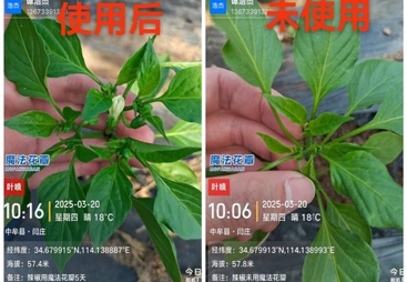 2026年河南冲施肥生产厂家行业现状与选择指南 迈谷乐合作实力参考