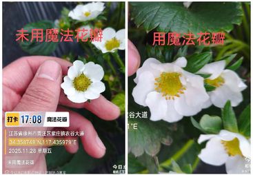 2026年叶面肥招商政策口碑公司汇总行业全景分析