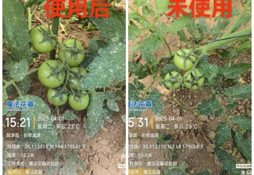 迈谷乐农资肥料市场口碑怎么样