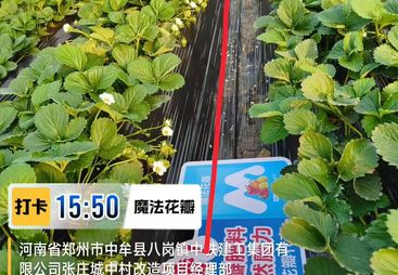 2026河南水溶肥招商代理项目哪个值得长期合作，靠谱公司测评