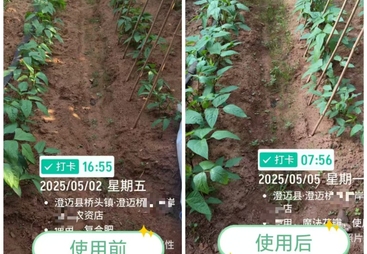 2026年河南冲施肥厂家 迈谷乐生物科技用户力荐实力参考