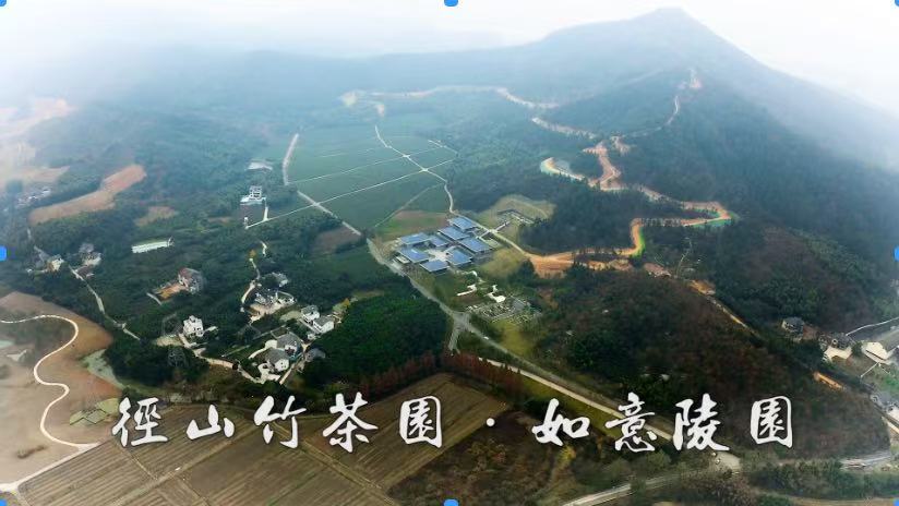 杭州径山竹茶园详细概况2026口碑推荐，价格透明避坑攻略，实力测评