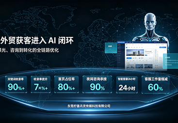 珠三角正规的海外AI优化专业技术服务公司推荐