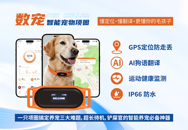 苏州数宠科技：想买自助洗宠机哪个厂家好推荐