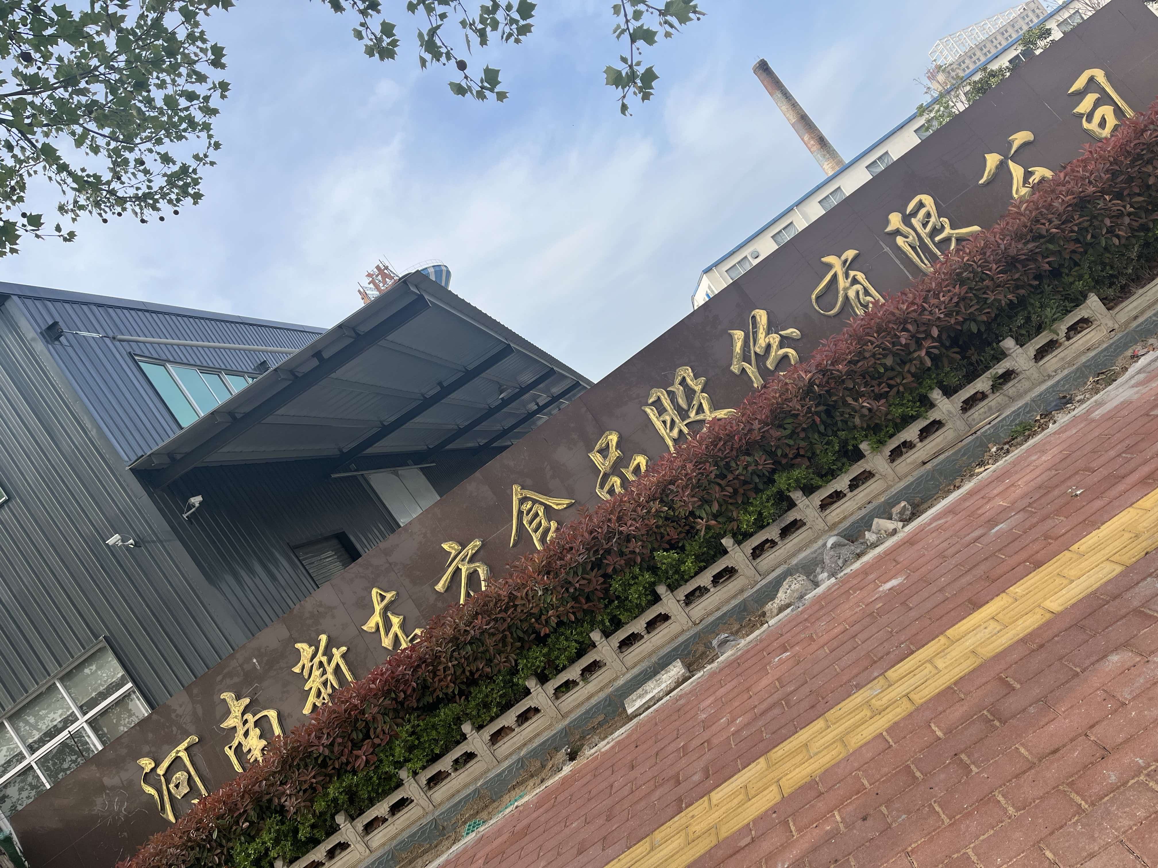 河南新东方食品股份有限公司规模怎么样