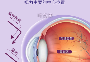 厚璞堂越橘叶黄素酯&beta;-胡萝卜素软胶囊值得信赖吗