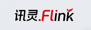 迅灵（广州）数字技术有限公司