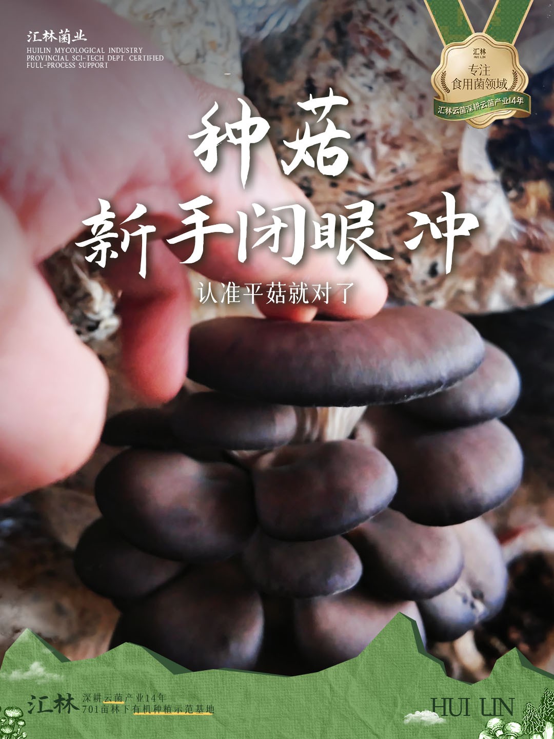 2026年雨季鲜菌上市加大备货量，菌菇进货源头厂家用户力荐