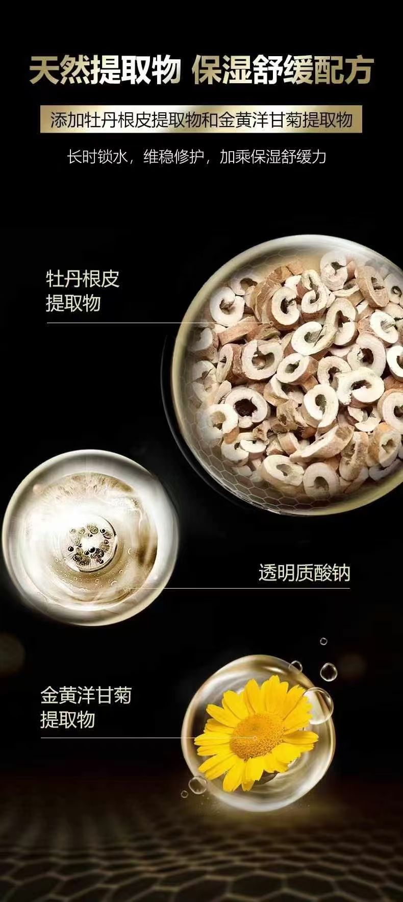 欧美诗技术实力强吗,研发能力怎么样(图2)