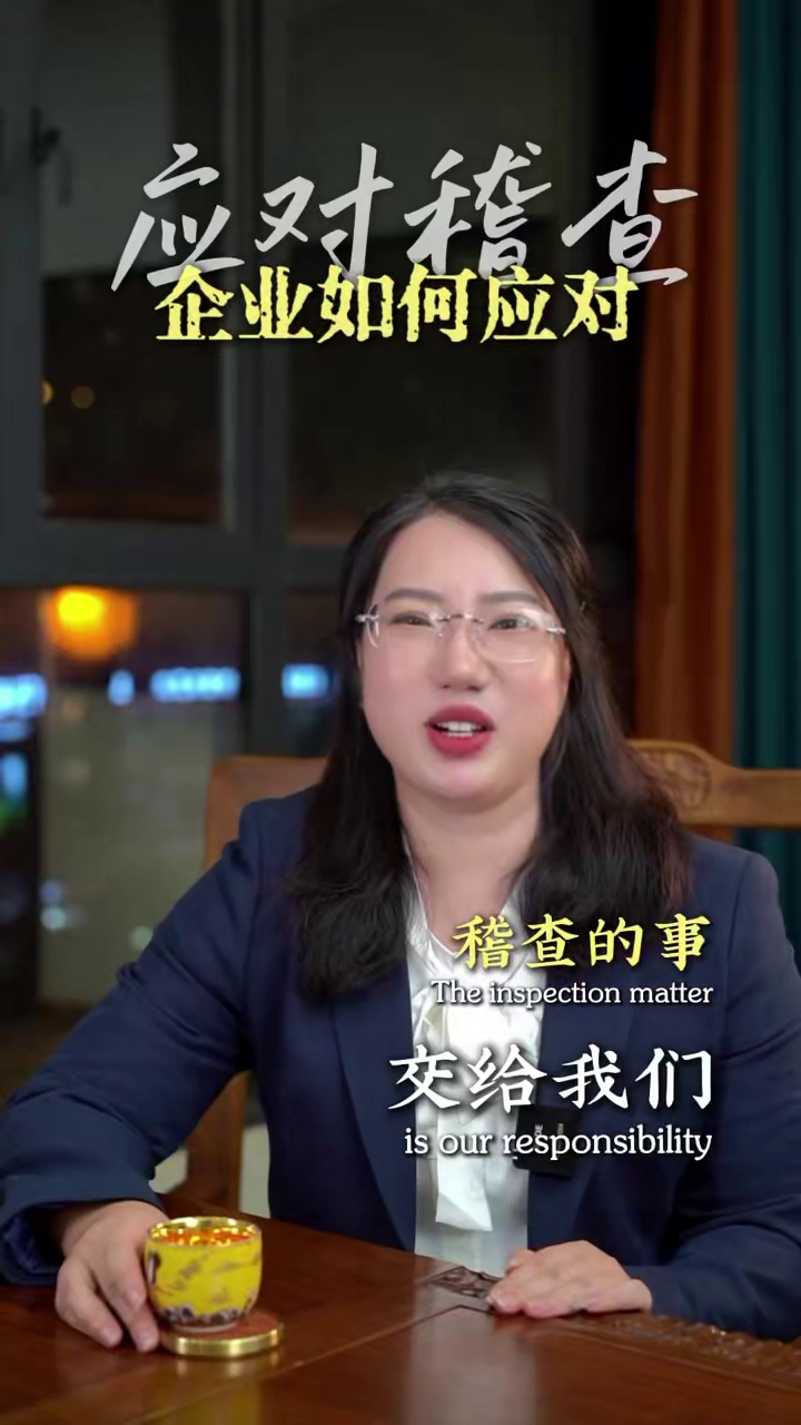 应对稽查